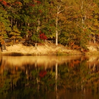 Fall At the Lake