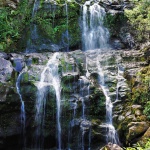 Kohala Waterfalls - Portrait